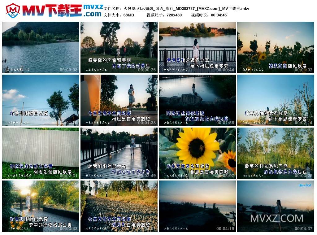 火凤凰-相思如烟_国语_流行_MD203737